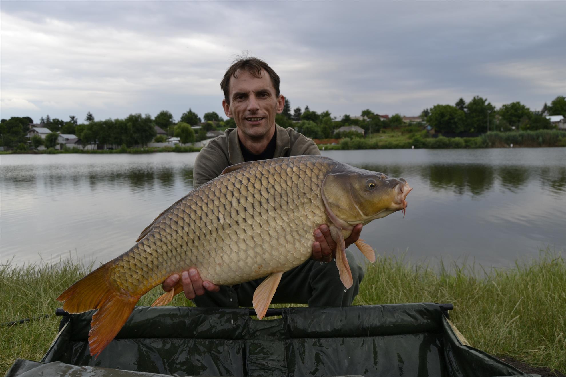 2015 - Moara Vlasiei 27.06.2015
12kg
